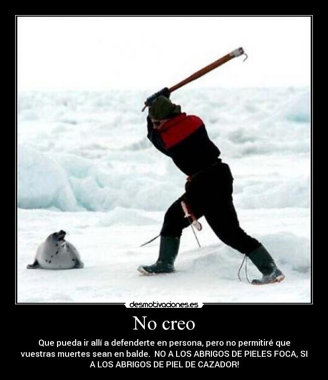 No creo - 