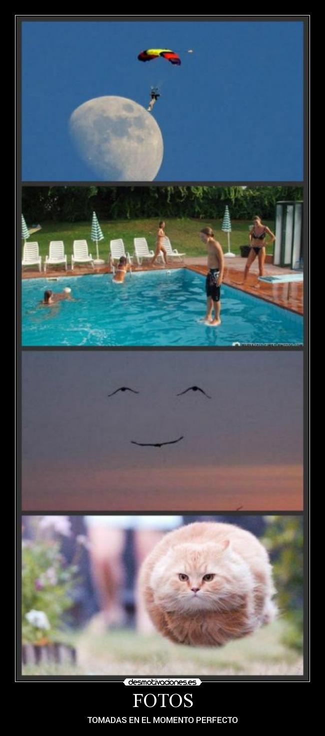 FOTOS - TOMADAS EN EL MOMENTO PERFECTO