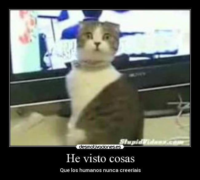 He visto cosas - 