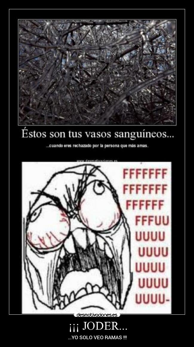 carteles joder desmotivaciones