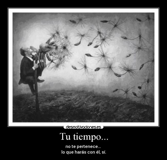 Tu tiempo... - 