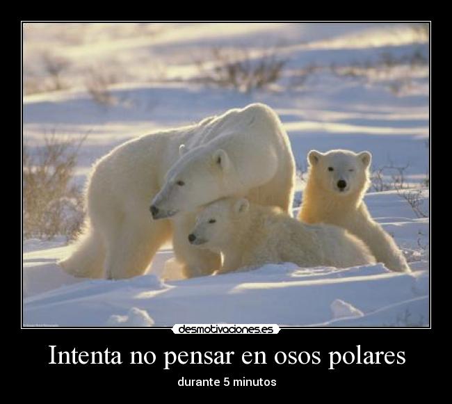 carteles lol desmotivaciones