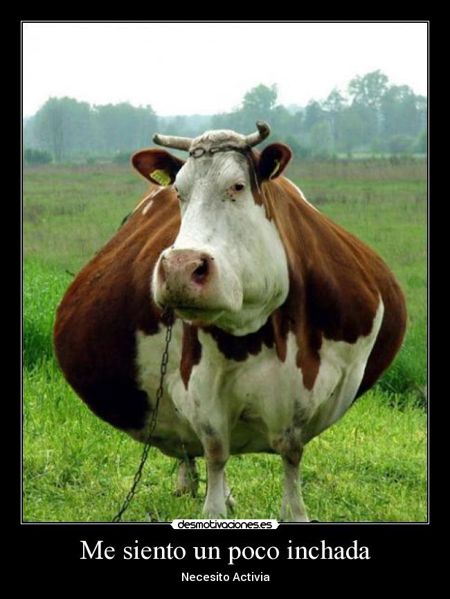 carteles antena tres desmotivaciones