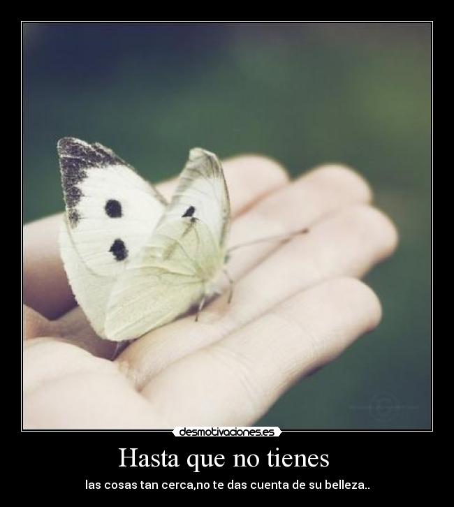 Hasta que no tienes -