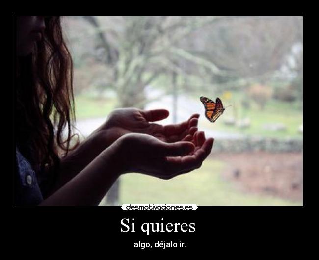 Si quieres  - algo, déjalo ir.