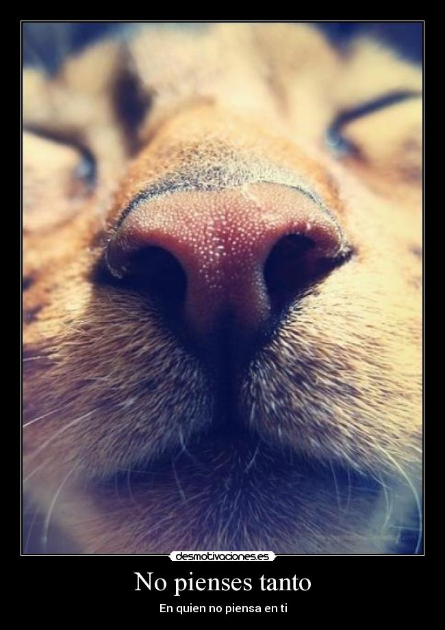 No pienses tanto - 