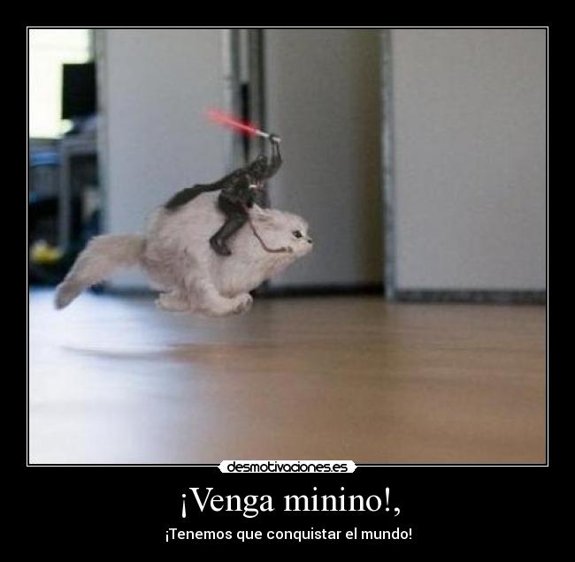 ¡Venga minino!, - ¡Tenemos que conquistar el mundo!