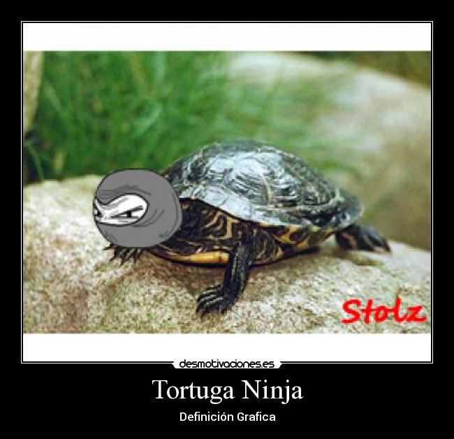 Tortuga Ninja - Definición Grafica