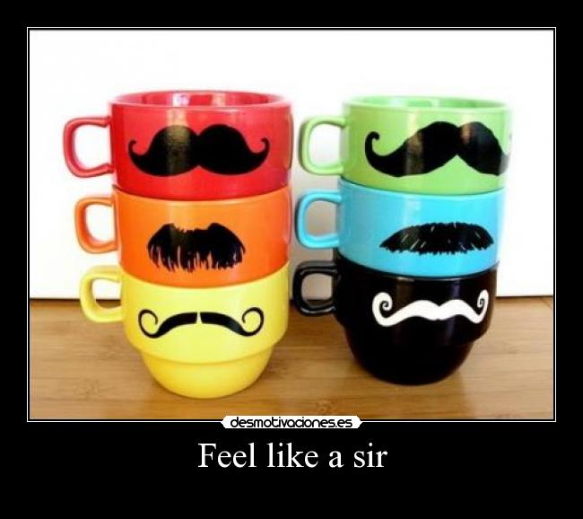 Feel like a sir - 