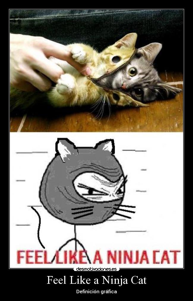 Feel Like a Ninja Cat - Definición gráfica