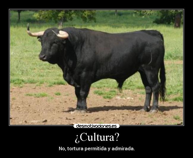 ¿Cultura? - 