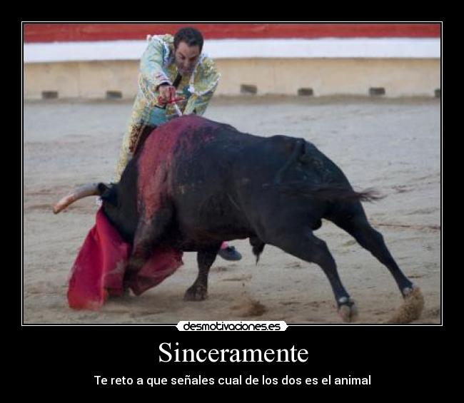 carteles sinceramente desmotivaciones