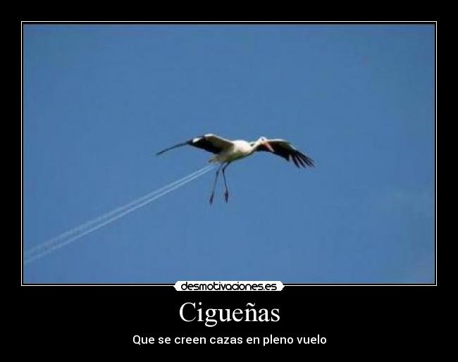 Cigueñas -