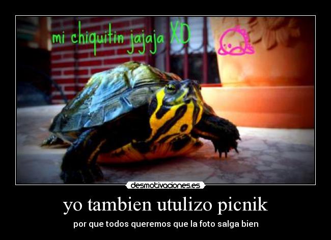 yo tambien utulizo picnik -