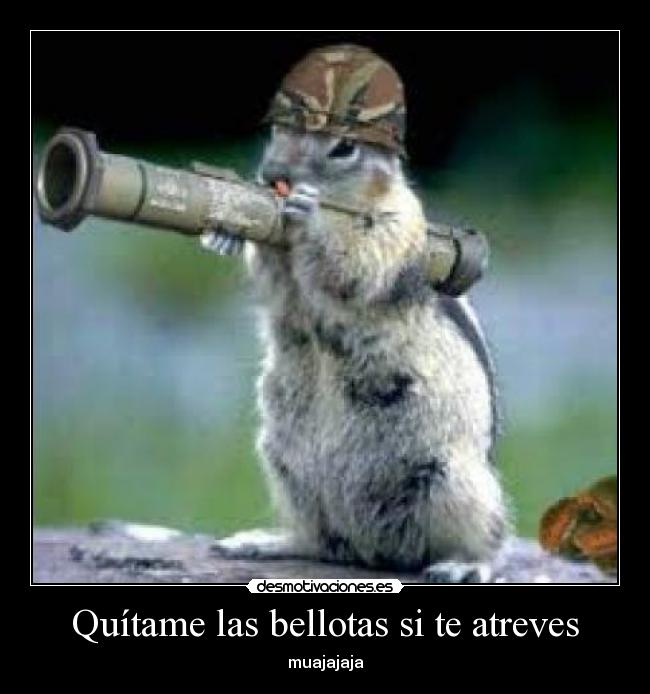 Quítame las bellotas si te atreves - 