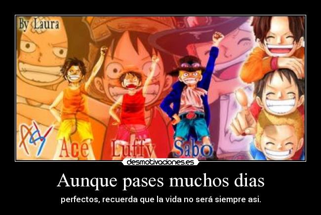 Aunque pases muchos dias - perfectos, recuerda que la vida no será siempre asi.