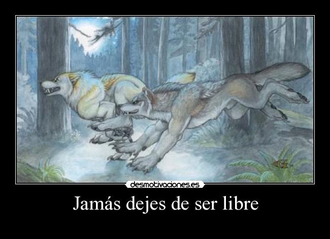 Jamás dejes de ser libre - 