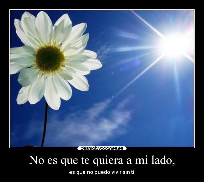 No es que te quiera a mi lado, - es que no puedo vivir sin tí.