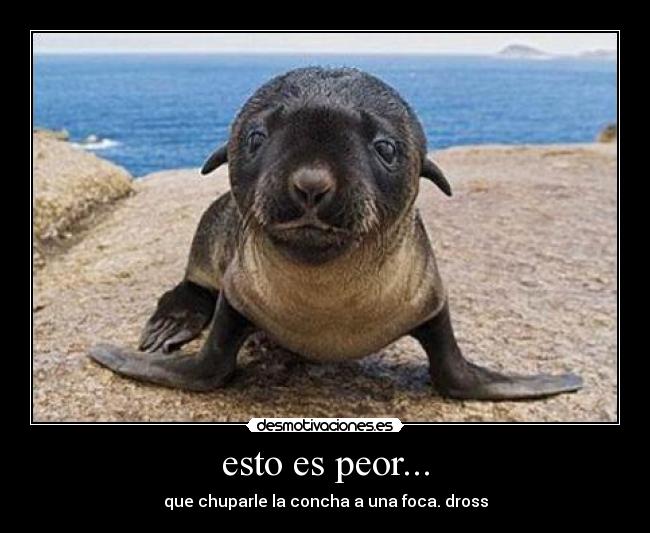 esto es peor... - que chuparle la concha a una foca. dross