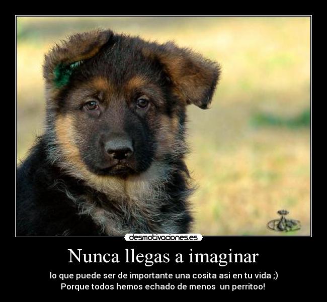 Nunca llegas a imaginar -