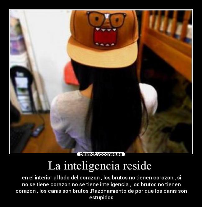 La inteligencia reside - en el interior al lado del corazon , los brutos no tienen corazon , si
no se tiene corazon no se tiene inteligencia , los brutos no tienen
corazon , los canis son brutos .Razonamiento de por que los canis son
estupidos