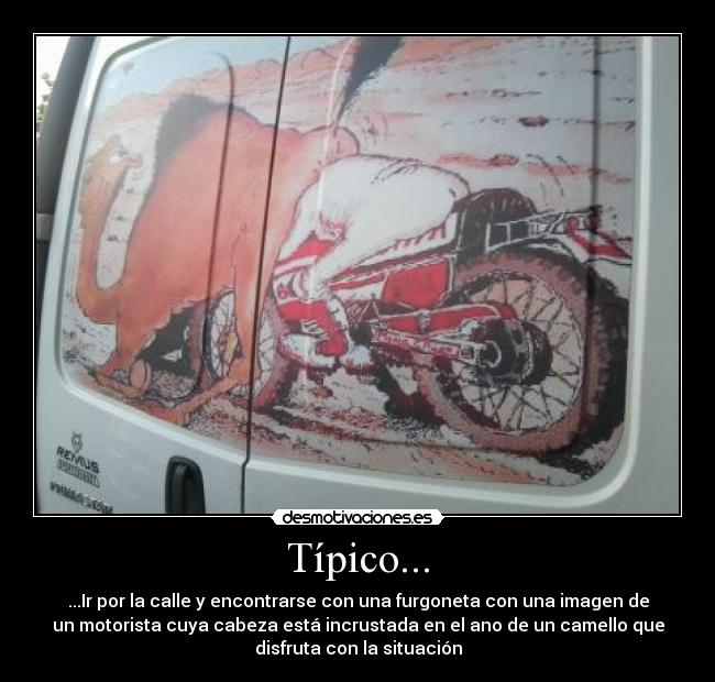 Típico... - ...Ir por la calle y encontrarse con una furgoneta con una imagen de
un motorista cuya cabeza está incrustada en el ano de un camello que
disfruta con la situación
