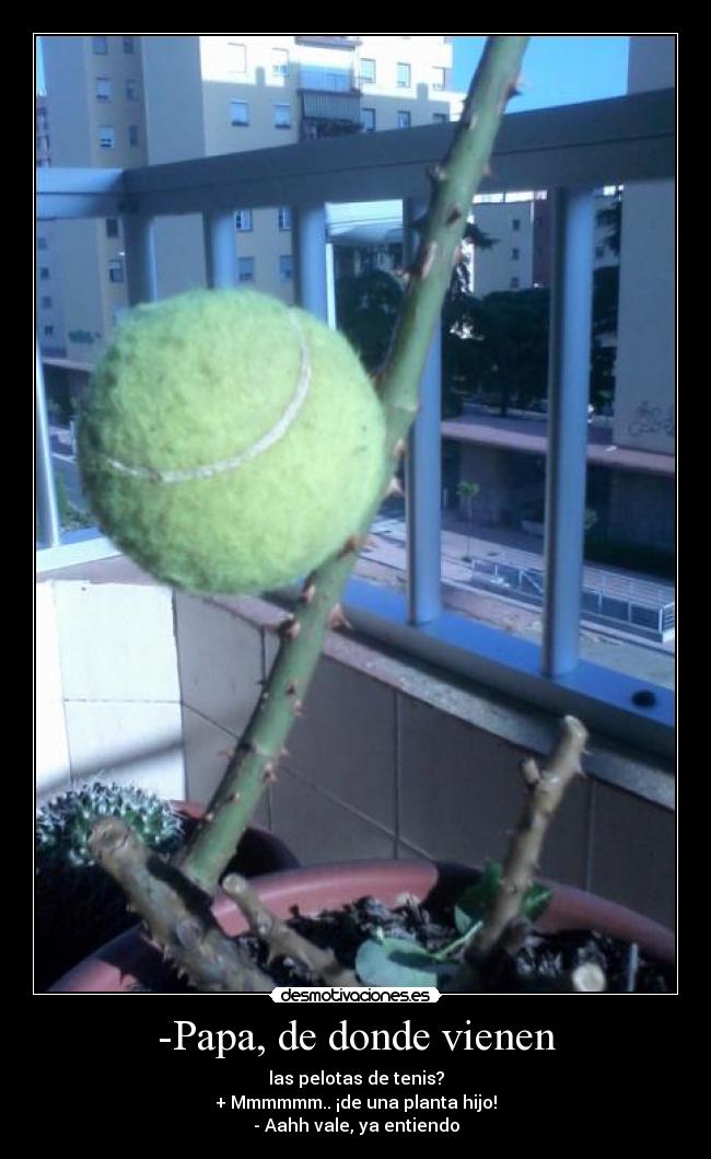 -Papa, de donde vienen - 