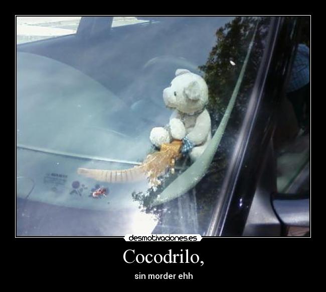 Cocodrilo, - sin morder ehh