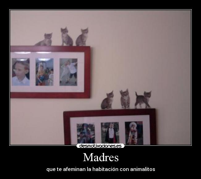 Madres - que te afeminan la habitación con animalitos