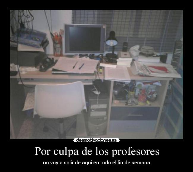 Por culpa de los profesores - 