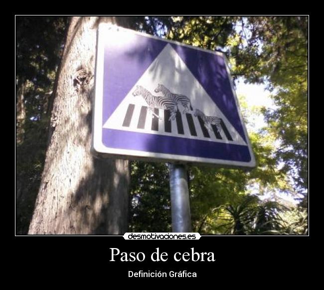 Paso de cebra - 