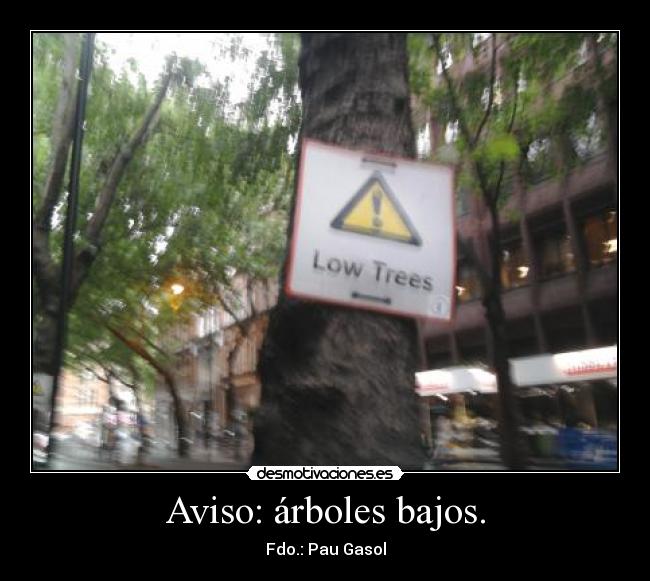 Aviso: árboles bajos. - 