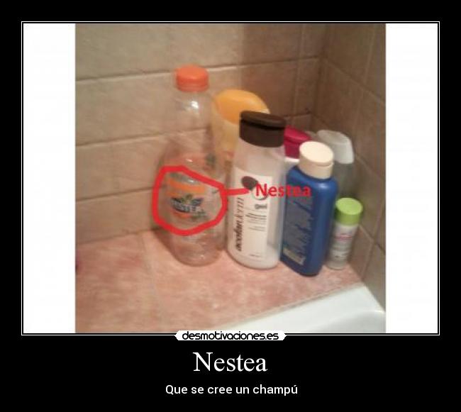 Nestea - Que se cree un champú