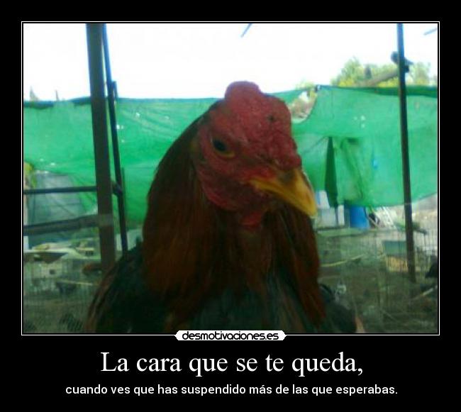 La cara que se te queda, - 