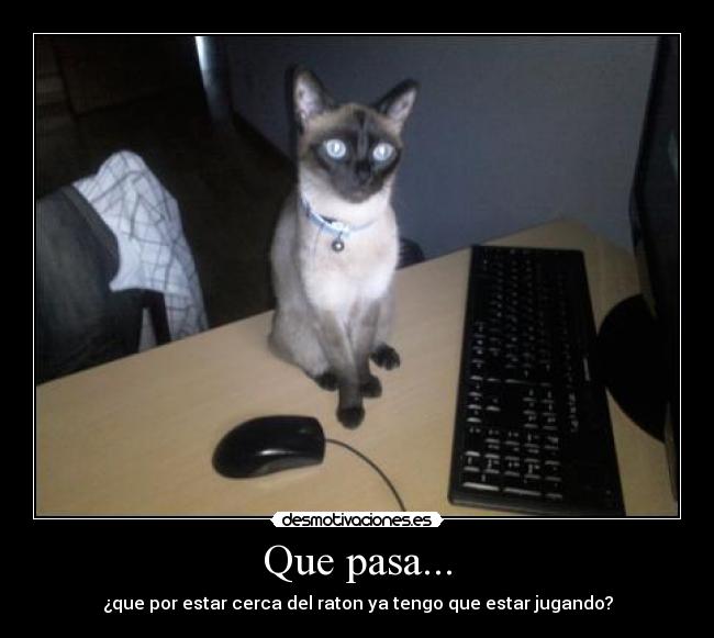 Que pasa... - ¿que por estar cerca del raton ya tengo que estar jugando?