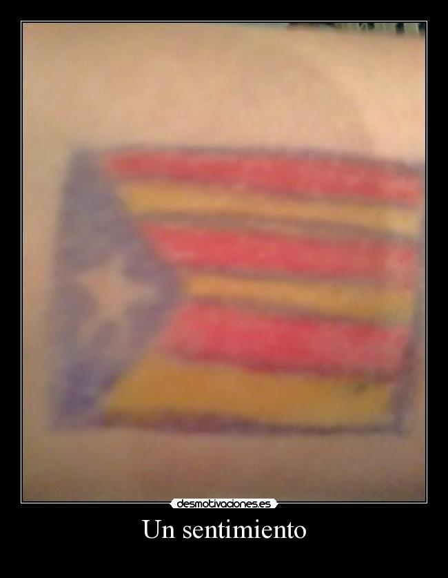Un sentimiento - 