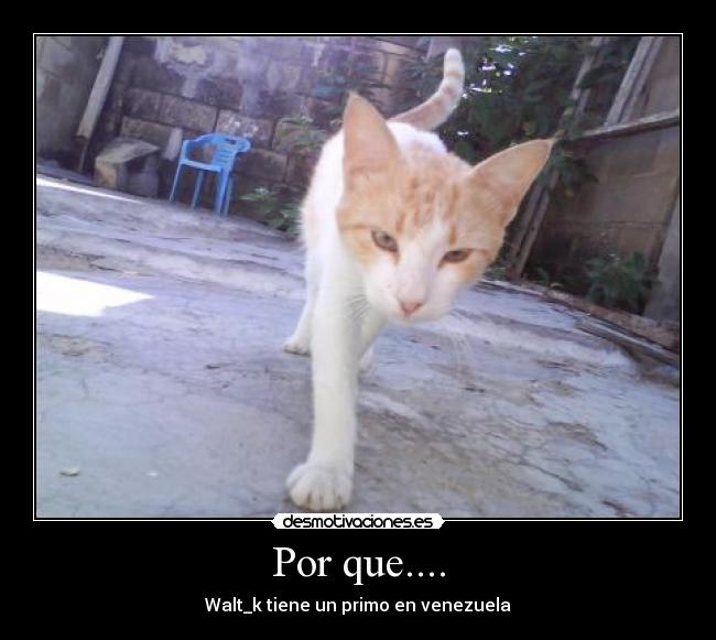 Por que.... - Walt_k tiene un primo en venezuela