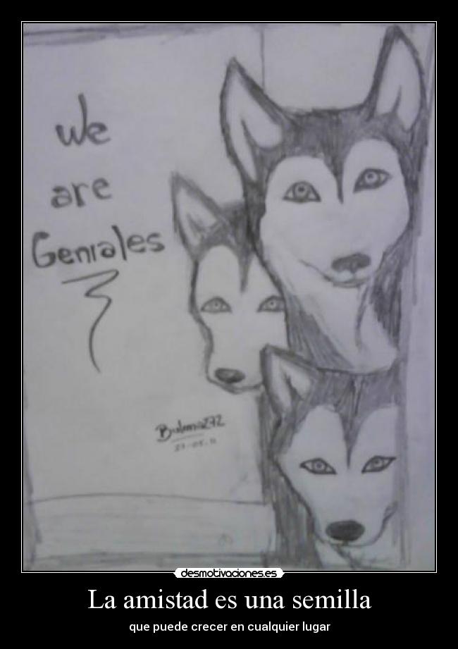 La amistad es una semilla -