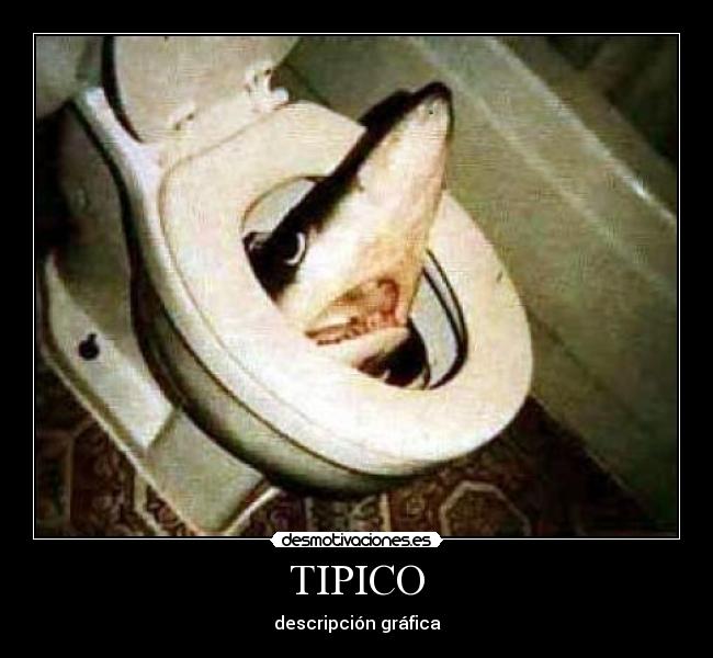 TIPICO - descripción gráfica