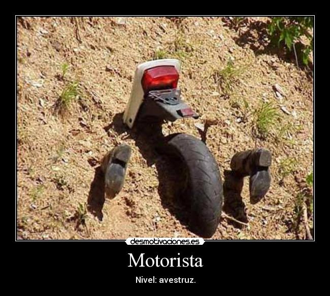Motorista -
