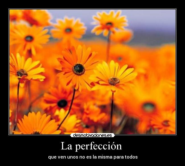 La perfección  - que ven unos no es la misma para todos