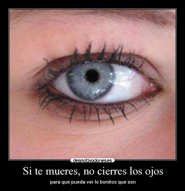 Si te mueres, no cierres los ojos - para que pueda ver lo bonitos que son