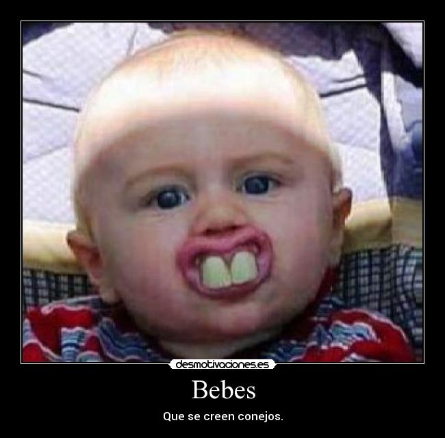 Bebes - 