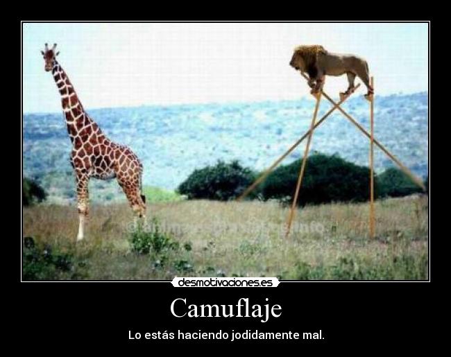Camuflaje - 