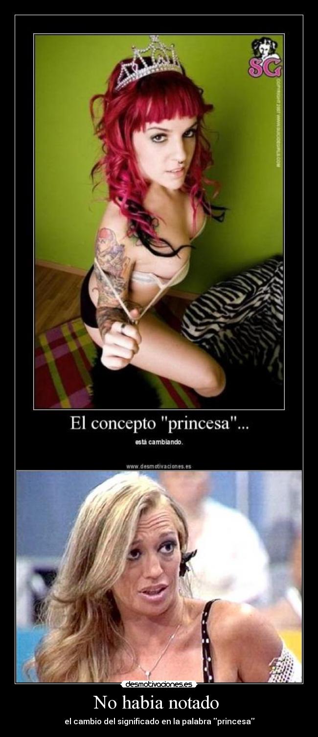 No habia notado  - el cambio del significado en la palabra princesa