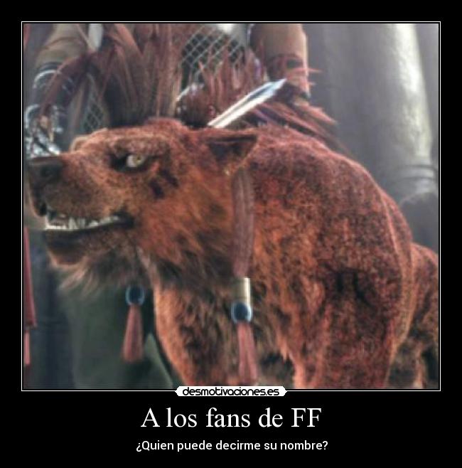 A los fans de FF - ¿Quien puede decirme su nombre?