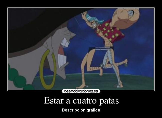 Estar a cuatro patas - Descripción gráfica