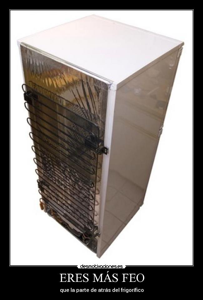ERES MÁS FEO - que la parte de atrás del frigorífico
