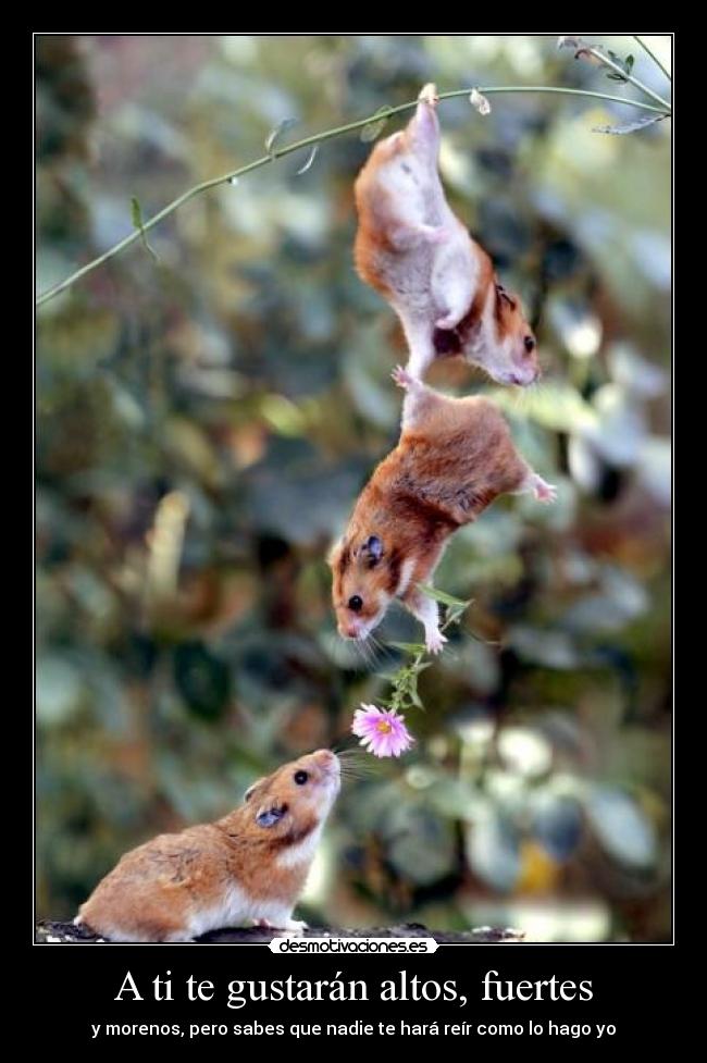 A ti te gustarán altos, fuertes - y morenos, pero sabes que nadie te hará reír como lo hago yo