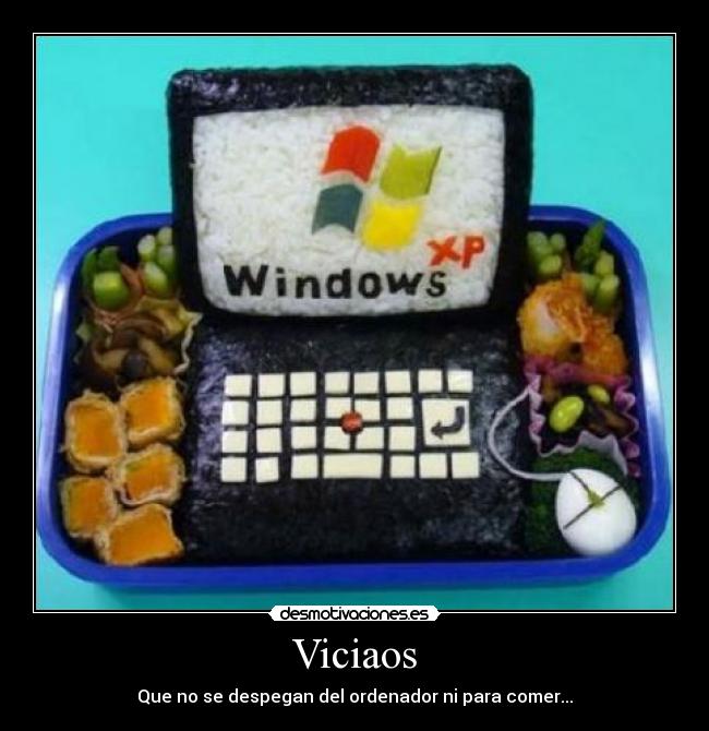 Viciaos - Que no se despegan del ordenador ni para comer...